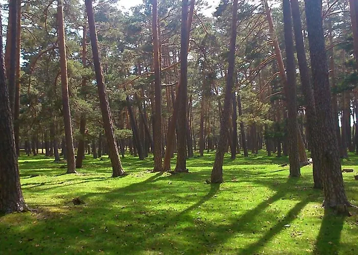 Casa Romulo 두루엘로 데 라 시에라